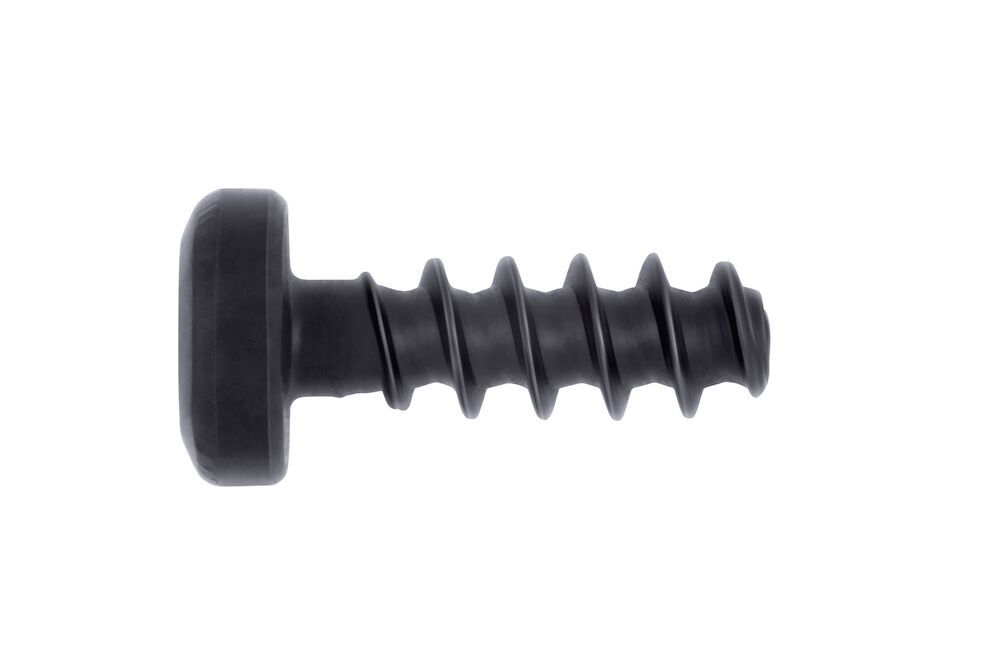 Skruv för plast med kullrigt huvud